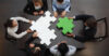 Partnership model
