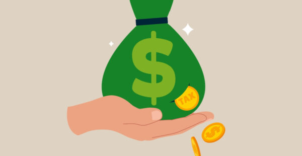 Bag of money with slit