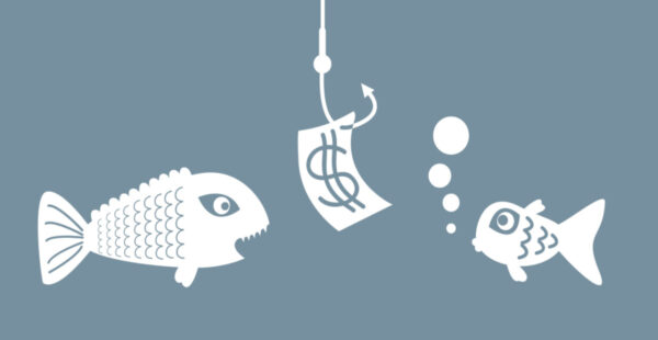 Two fish lured by dollar bait