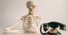 Skeleton call centre