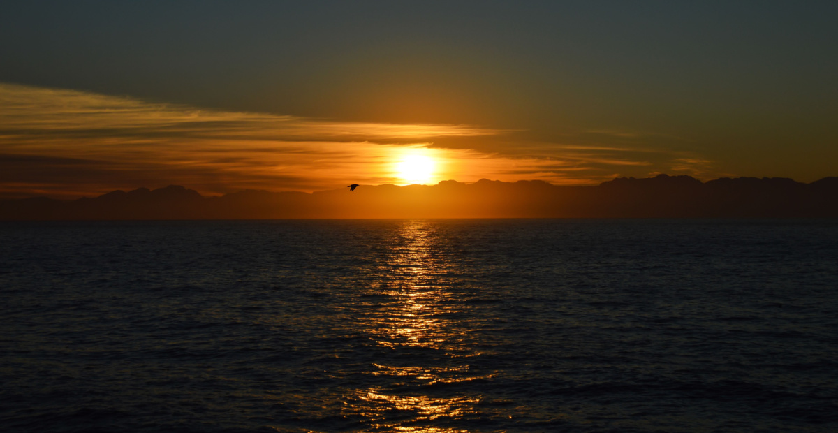 Dawn