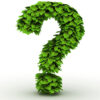 Green leaves in the shape of a question mark